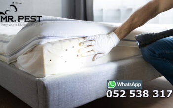 Low Cost Bed Bugs Removal Dubai 052 538 3175