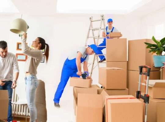 Professional Movers Packers Cheap And Safe In Dubai Any Place