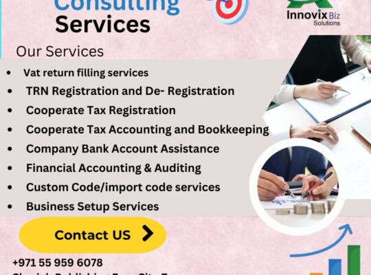 Financial Consulting Services