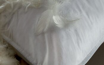 Goose Feather cushions for Hotels in Bahrain ( Goose Feather cushions for Hotels in Bahrain Hamad Town )