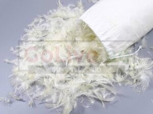 Goose Feather cushions for Hotels in Bahrain ( Goose Feather cushions for Hotels in Bahrain Riffa )