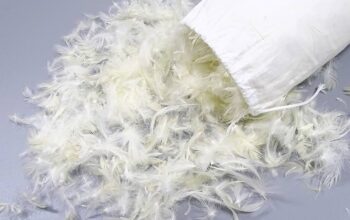 Duck Down Feather Pillow in Bahrain ( Duck Down Feather Pillow in Bahrain Budaiya )