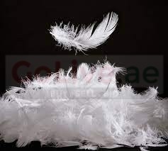 Goose Down Feathers in Bahrain ( Goose Down Feathers in Bahrain Budaiya )