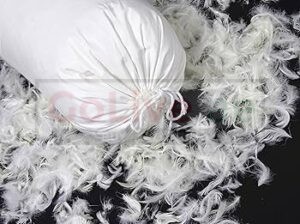 Goose Down Feathers Pillow in Bahrain ( Goose Down Feathers Pillow in Bahrain Sitra )