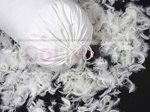 Goose Down feathers for sofas in Bahrain ( Goose Down feathers for sofas in Bahrain Riffa )