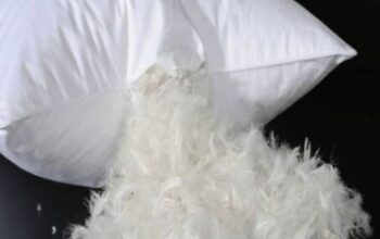 Goose Down feathers for sofas in Qatar ( Goose Down feathers for sofas in Qatar Al Wakrah )