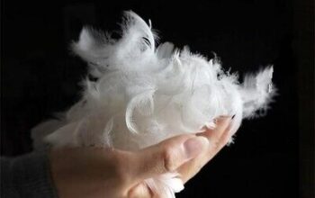 Duck feathers Supplier in Qatar ( Duck feathers Supplier in Qatar Doha )