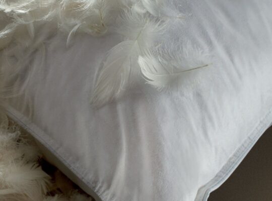 Buy Duck Down Feather Pillow in Qatar ( Buy Duck Down Feather Pillow in Qatar Al Rayyan )