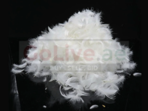 Duck Down Feather Pillow in Qatar ( Duck Down Feather Pillow in Qatar Doha )