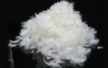 Duck Down feathers for sofas in Qatar ( Duck Down feathers for sofas in Qatar Doha )