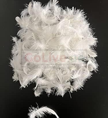 Duck Down Feather Pillow in Qatar ( Duck Down Feather Pillow in Qatar Al Rayyan )