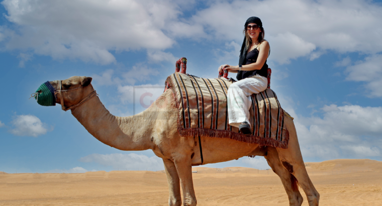 Morning Desert Safari with Camel ride +971 54 470 0431