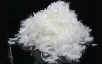 Buy Goose Down Feather Pillow in Kuwait ( Buy Goose Down Feather Pillow in Kuwait Ahmadi )