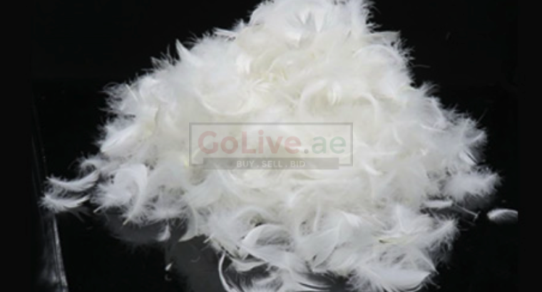 Goose Feather Down Filling for cushions in Kuwait ( Goose Feather Down Filling for cushions in Kuwait Jabriya )
