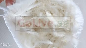 Goose Down Feathers in Kuwait ( Goose Down Feathers in Kuwait Ahmadi )