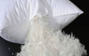 Duck Down Feathers in Kuwait ( Duck Down Feathers in Kuwait Salmiya )