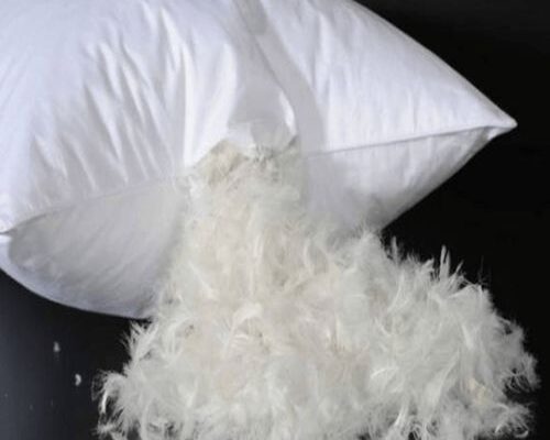 Goose Down Feathers Pillow in Kuwait ( Goose Down Feathers Pillow in Kuwait Al Khiran )