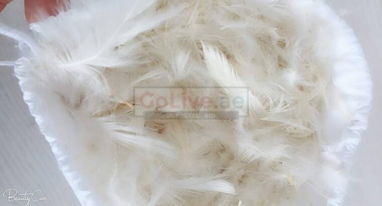 Buy Goose Down Feather Pillow in Kuwait ( Buy Goose Down Feather Pillow in Kuwait Ardiya )
