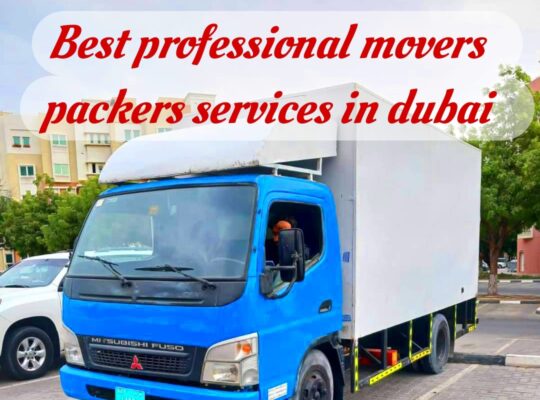 Movers and Packers service in Dubai 0507124901