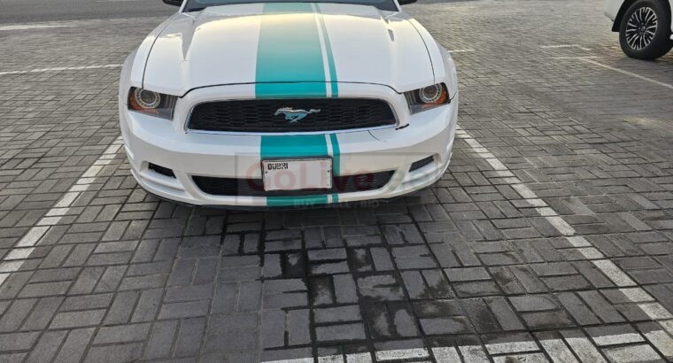 Ford Mustang 2014 Tiffany and White