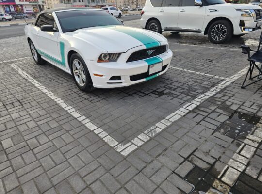 Ford Mustang 2014 Tiffany and White