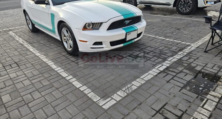 Ford Mustang 2014 Tiffany and White