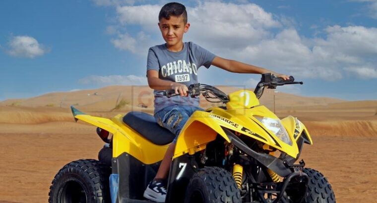 7-Hour Desert Safari A Complete Desert Adventure with Dune Dreams054 470 0431