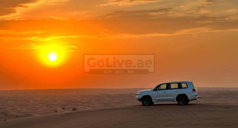 7-Hour Desert Safari A Complete Desert Adventure with Dune Dreams054 470 0431