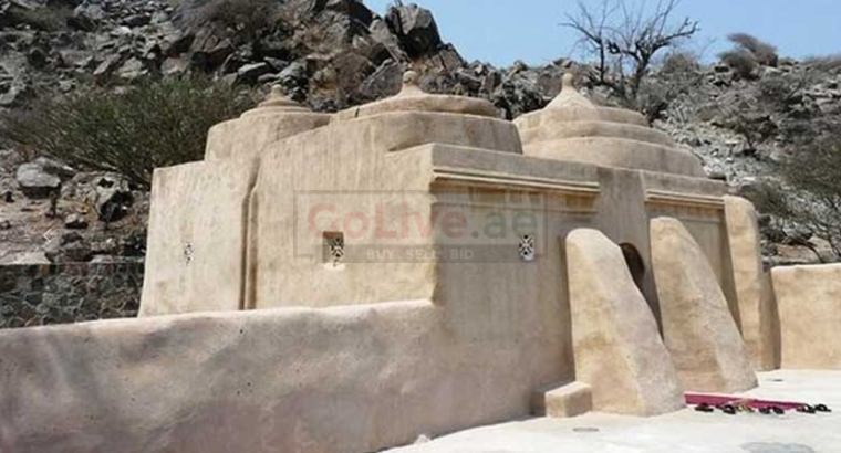 East Coast Tour Fujairah Low Cost 971 54 470 0431
