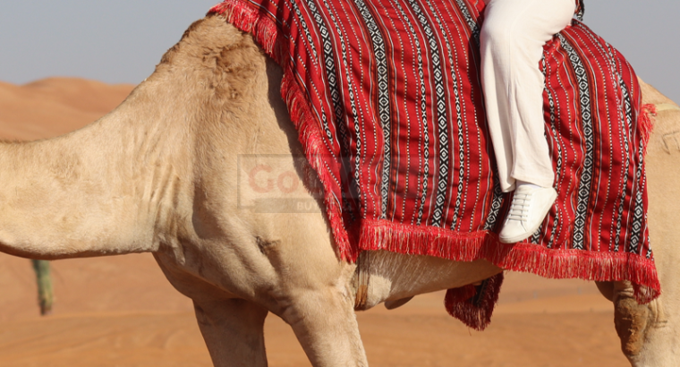Low Cost Morning Desert Safari 054 470 0431