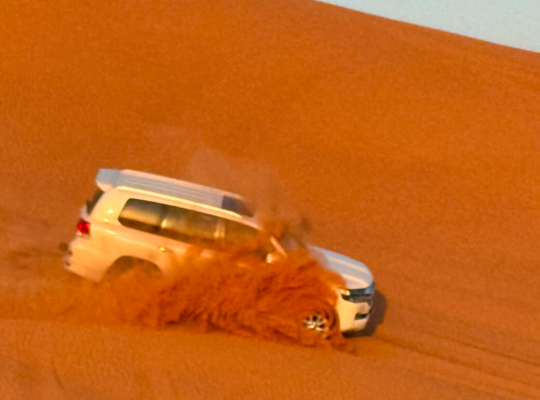 Low Cost Morning Desert Safari 054 470 0431