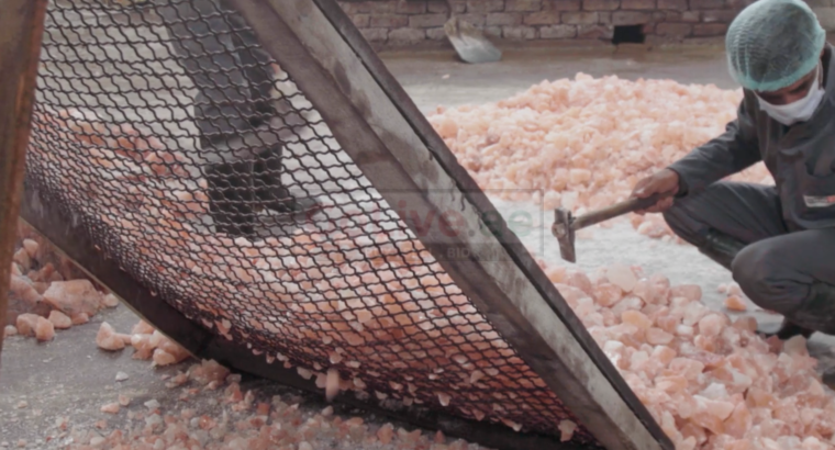Pink Rock Salt for Animals ( Animal Licking Salt Supplier in Oman )