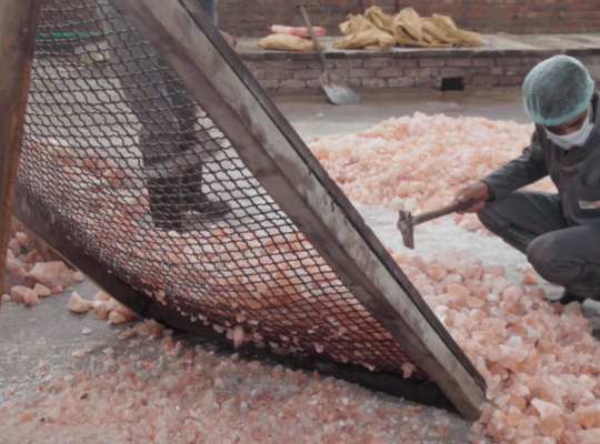 Pink Rock Salt for Animals ( Animal Licking Salt Supplier in UAE )
