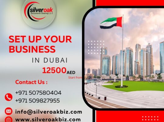 Dubai Business Setup—Premium, Seamless, Efficient