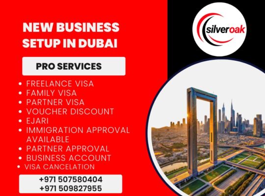 Dubai Business Setup—Premium, Seamless, Efficient