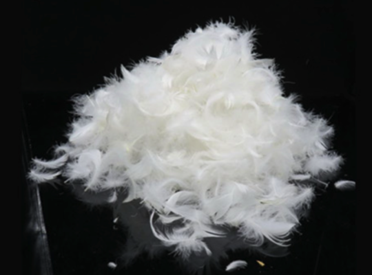 Goose Feather cushions for Hotels in Kuwait ( Goose Feather cushions for Hotels in Kuwait Hawally )