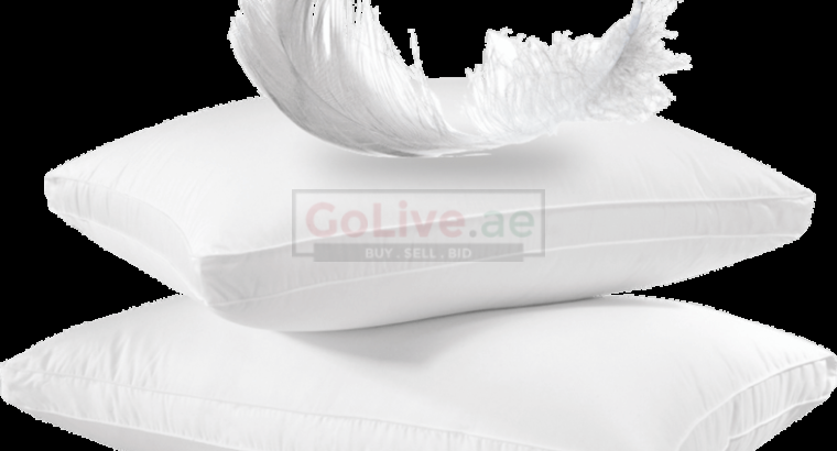 Duck Feather cushions for Hotels in Kuwait ( Duck Feather cushions for Hotels in Kuwait Sabah Zour )