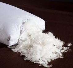 Duck Feather cushions for Hotels in Kuwait ( Duck Feather cushions for Hotels in Kuwait Sabah Al Salem )