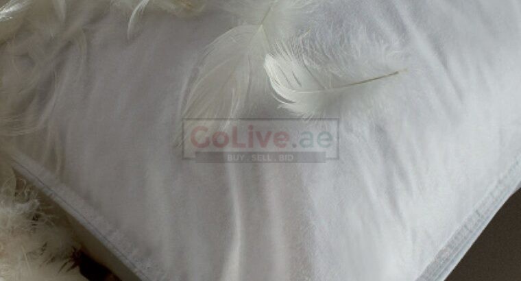 Goose Feather cushions for Hotels in Kuwait ( Goose Feather cushions for Hotels in Kuwait Salmiya )
