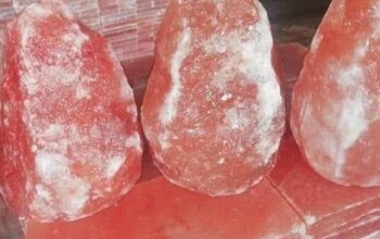 Pink Himalayan salt for pets ( Durable salt blocks for livestock in FUJAIRAH )
