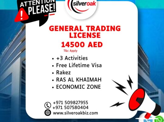 Dubai Business Setup—Premium, Seamless, Efficient