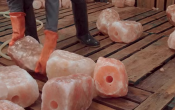 Pink Rock Salt for Animals ( Animal Licking Salt Supplier in RAS AL KHAIMA UAE )