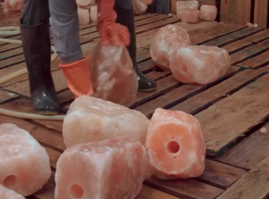 Best salt licks for farm animals ( Wholesale Himalayan salt licks in DUBAI )