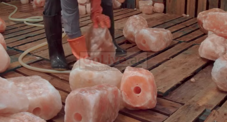 Natural salt blocks for animals (Himalayan salt supplier in OMAN )