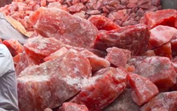 Animal Licking Salt ( Himalayan pink Rock Salt Supplier in OMAN )