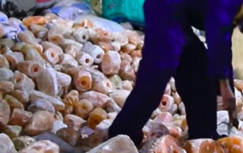 Rock salt for livestock ( Organic Himalayan salt supplier in RAS AL KHAIMAH )