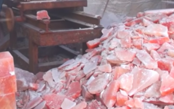 Pink rock salt for livestock ( Himalayan salt licks for animals in SAUDI ARABIA )