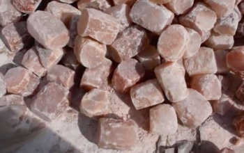Pink rock salt for livestock ( Himalayan salt licks for animals in RAS AL KHAIMAH )