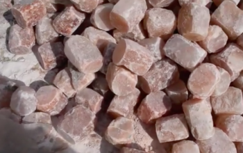 Pink Rock Salt for Animals ( Animal Licking Salt Supplier in UMM AL QUWAIN UAE )