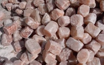 Rock salt for livestock ( Organic Himalayan salt supplier in BAHRAIN )